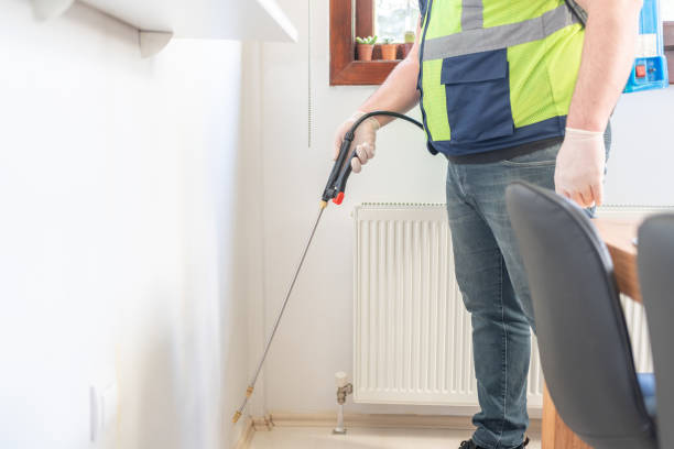 Best Affordable Pest Control Services  in Wrightsville, AR