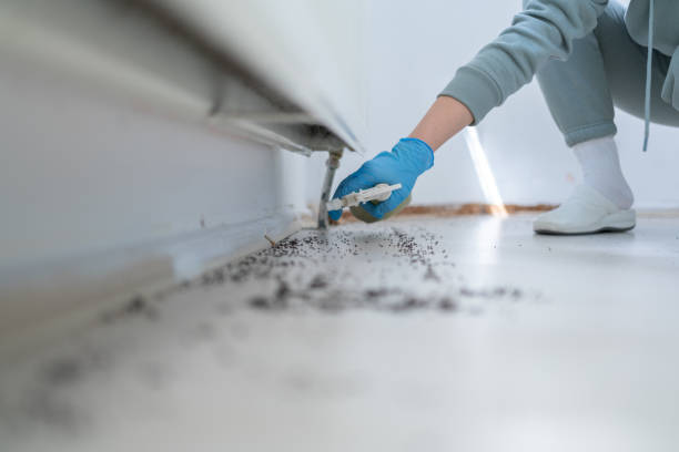Best Commercial Pest Control Services  in Wrightsville, AR